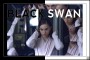 Black Swan The Reel Deal 1