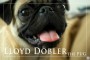 Lloyd Dobler Animal Magnetism 1