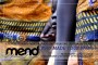 MEND 1