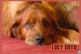 30_LucyBoyd_PMcMullan_PMcMag_070111