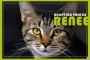 33_RENEE_PMcMullan_PMcMag_070111