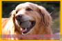 15_Bella_PMcMullan_PMcMag_080111