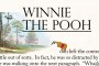 WinneThePooh_8X12