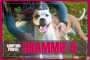 Grammie-D