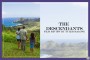THE-DESCENDANTS